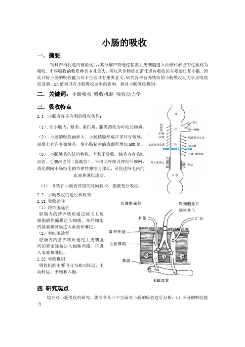 小肠的吸收