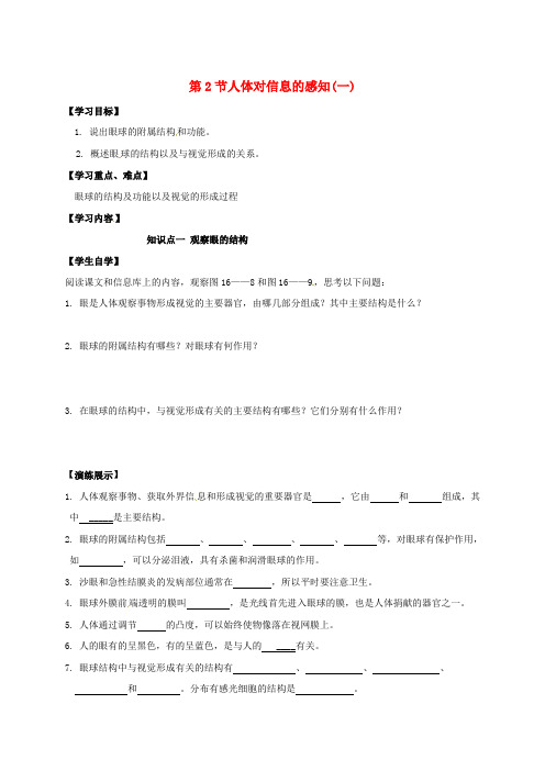 八年级生物上册 16.2 人体对信息的感知(一)学案(无答案)(新版)苏科版