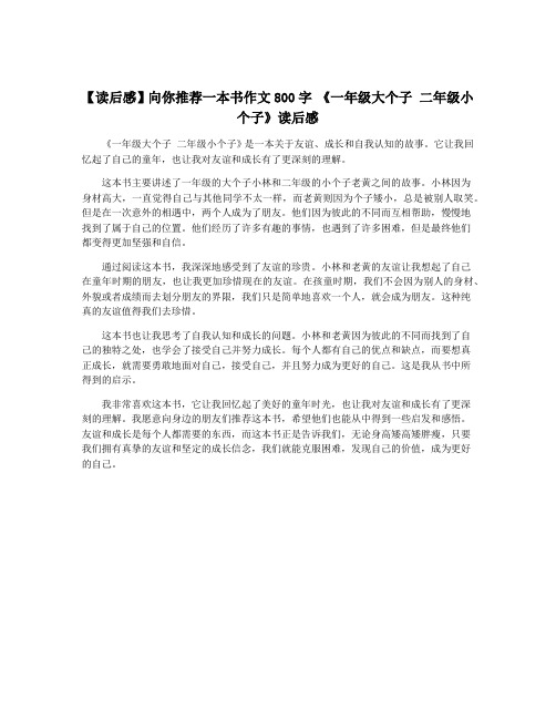 【读后感】向你推荐一本书作文800字 《一年级大个子 二年级小个子》读后感