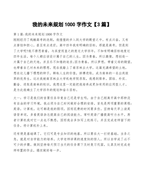 我的未来规划1000字作文【3篇】