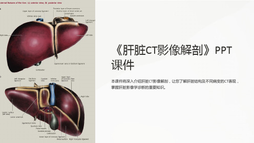 《肝脏CT影像解剖》课件