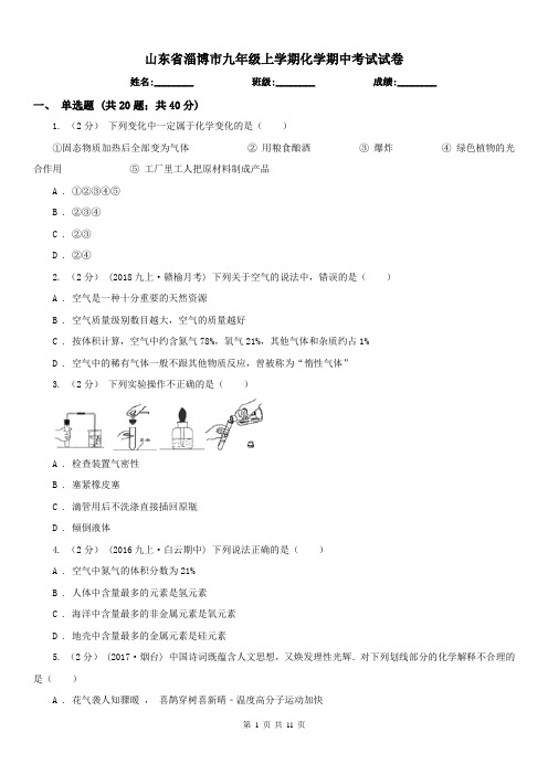 山东省淄博市九年级上学期化学期中考试试卷