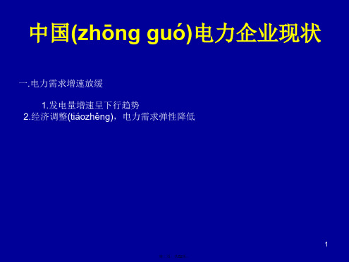 中国电力企业现状与发展趋势精讲课稿