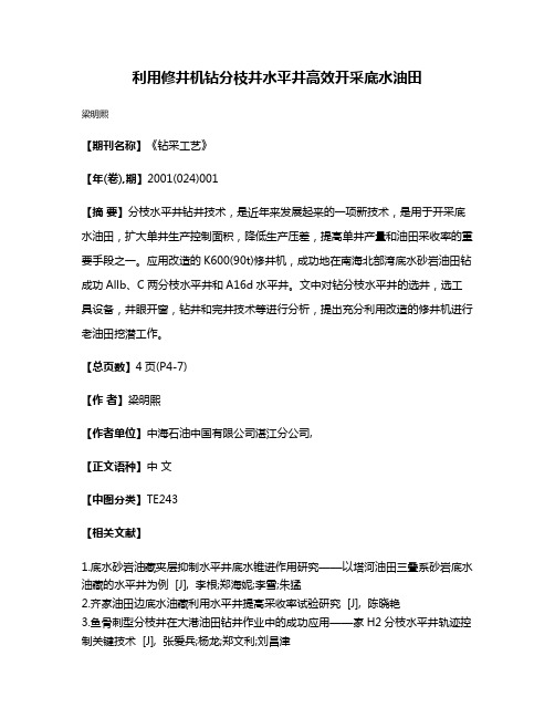 利用修井机钻分枝井水平井高效开采底水油田