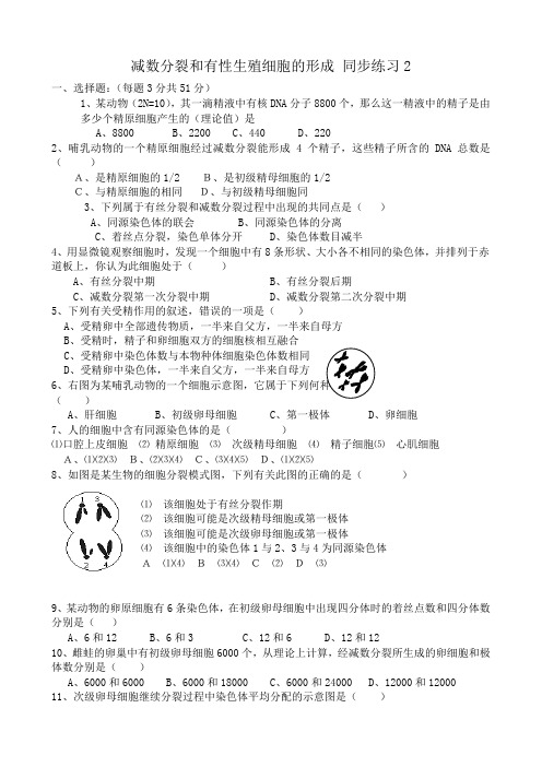 高中生物减数分裂和有性生殖细胞的形成 同步练习2人教版 必修1