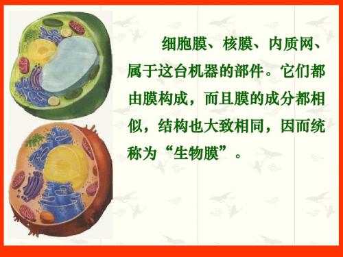 【高中生物】细胞的生物膜系统ppt1