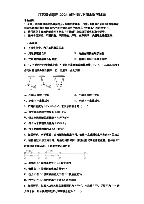 江苏省如皋市2024届物理八下期末联考试题含解析