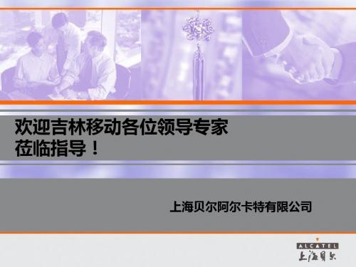 BTS机架类型alcatel现有机架-PPT文档资料