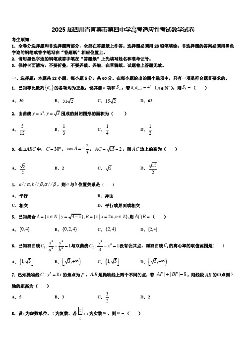 2025届四川省宜宾市第四中学高考适应性考试数学试卷含解析