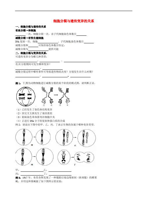 北京市高考生物一轮复习 例题讲解 专题 细胞分裂与遗传变异的关系学案(无答案)