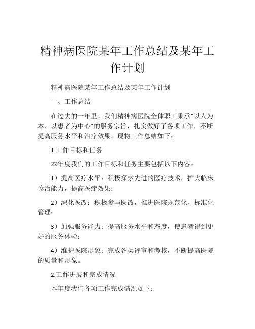 精神病医院某年工作总结及某年工作计划