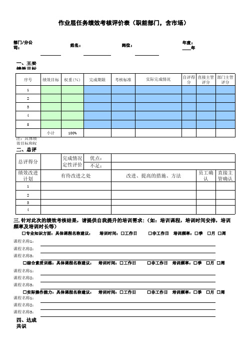 2010年度任务绩效考核标准表(全套)