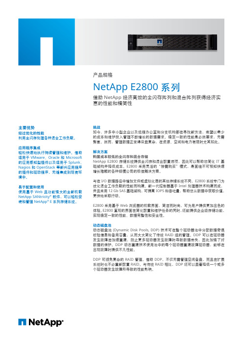 NetApp E2800系列存储白皮书