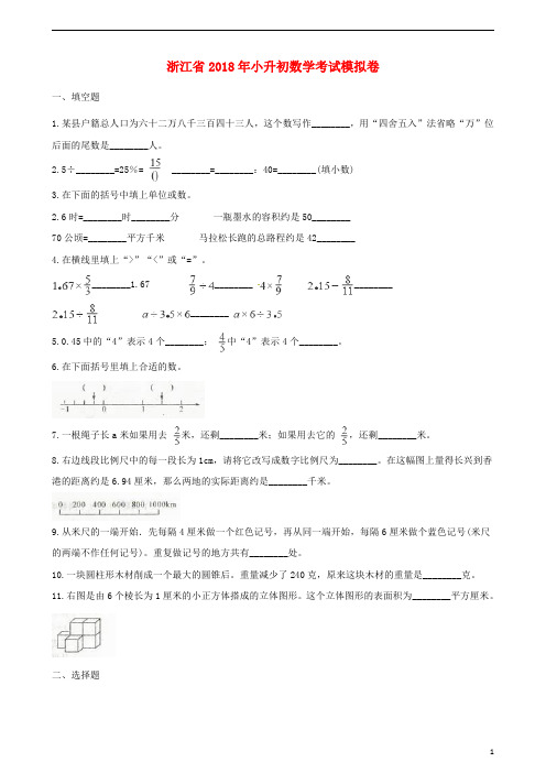 浙江省2018年小升初数学考试模拟卷5含解析201808091226