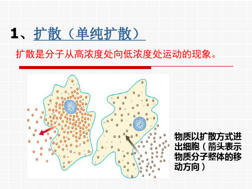 物质进出细胞的方式