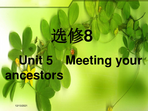 高考英语一轮复习 unit 5 meeting your ancestors课件 