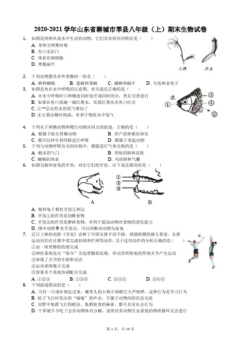 2020-2021学年山东省聊城市莘县八年级(上)期末生物试卷