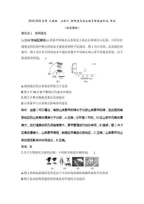 2019-2020学年 人教版  必修二 协同进化与生物多样性的形成 作业