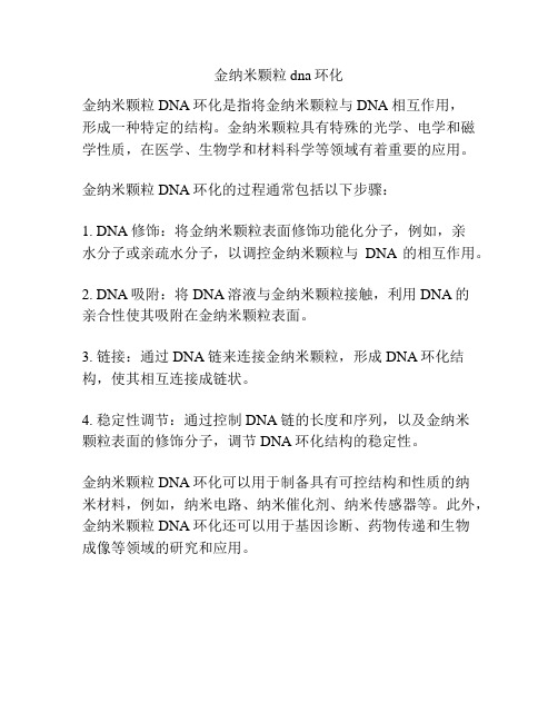 金纳米颗粒dna环化