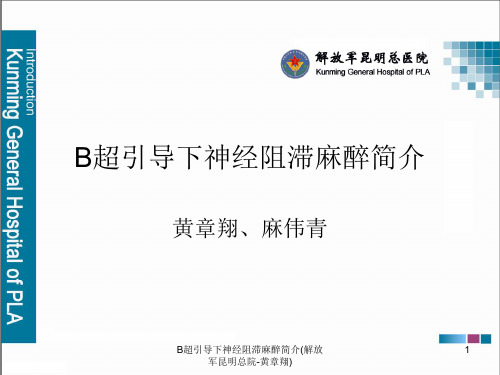 B超引导下神经阻滞麻醉简介(解放军昆明总院-黄章翔)课件