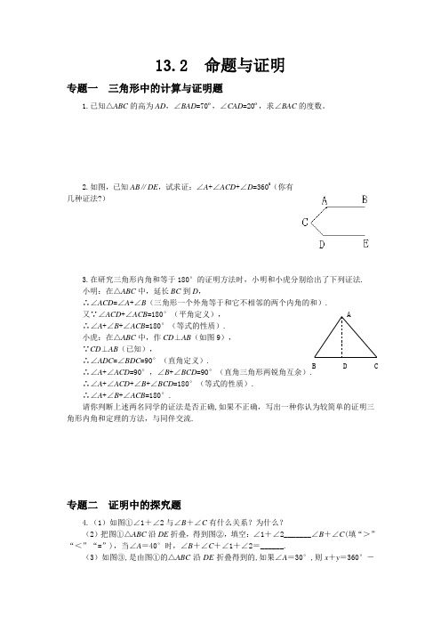 13.2命题与证明专题训练及答案