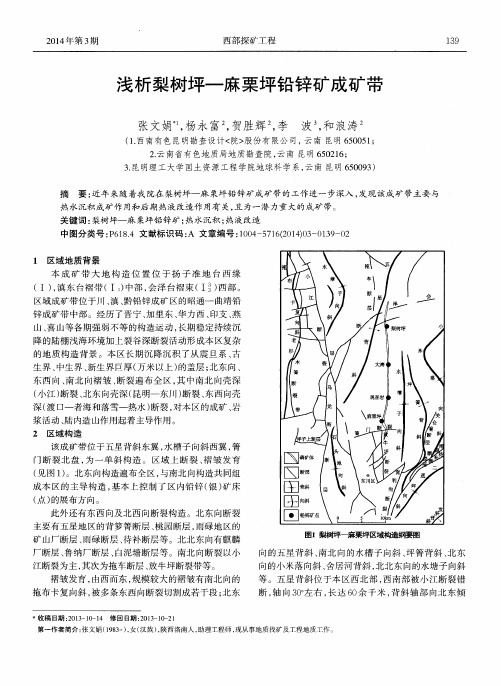 浅析梨树坪—麻栗坪铅锌矿成矿带