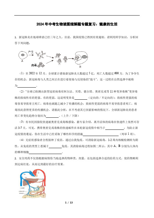 2024年中考生物读图理解题专题复习：健康的生活