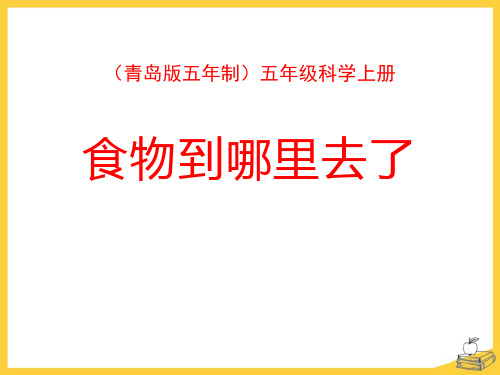 【小学课件】《食物到哪里去了》PPT