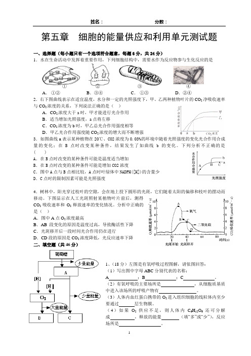 第五章---细胞的能量供应和利用单元测试题