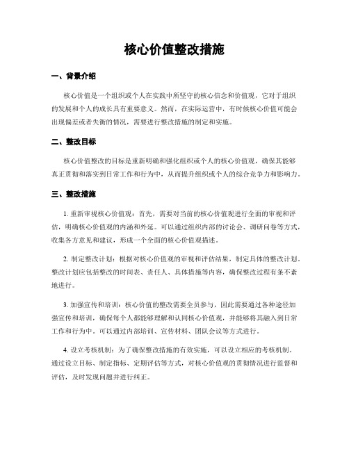 核心价值整改措施