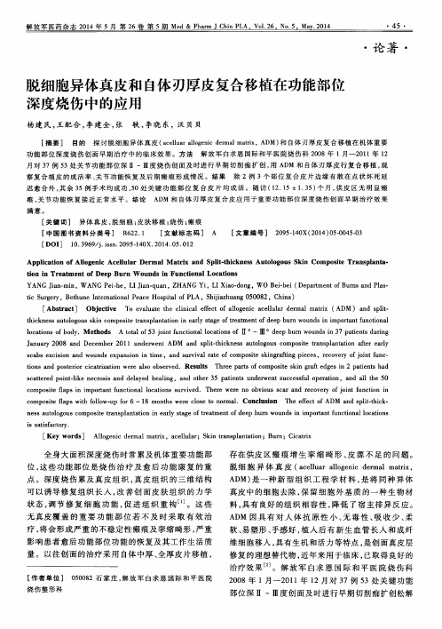 脱细胞异体真皮和自体刃厚皮复合移植在功能部位深度烧伤中的应用