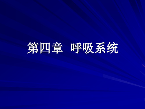 动物解剖学  第四章  呼吸系统