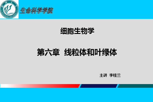 细胞生物学 06 线粒体和叶绿体