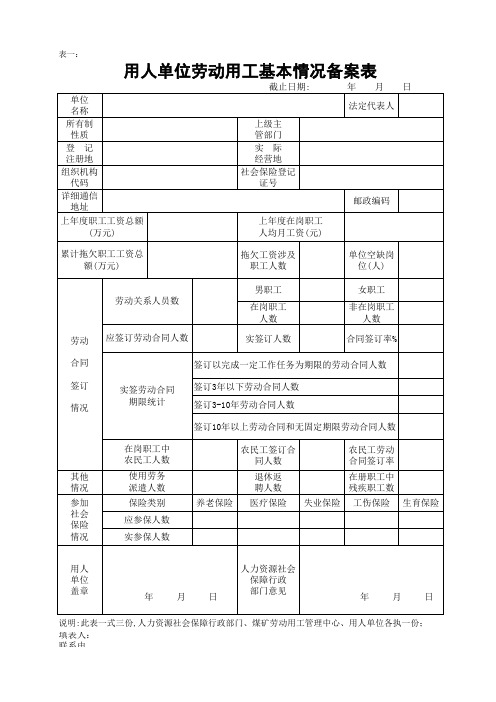 用人单位劳动用工基本情况备案表1