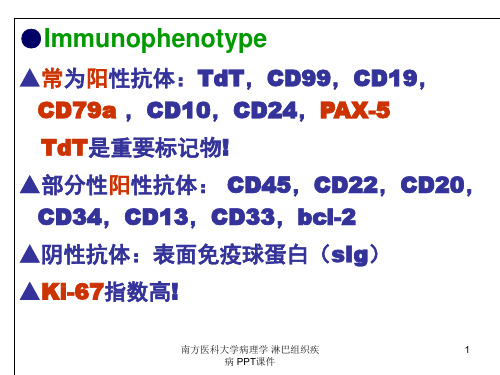 南方医科大学病理学 淋巴组织疾病 ppt课件