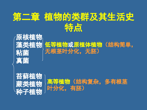 第二章  植物的类群及其生活史特点