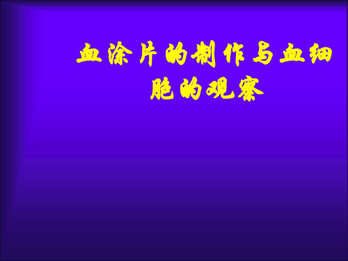 生理学：血涂片的制作与血细胞的观察