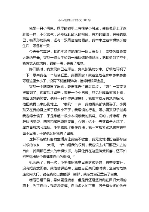 小乌龟的自白作文800字_小学五年级作文_