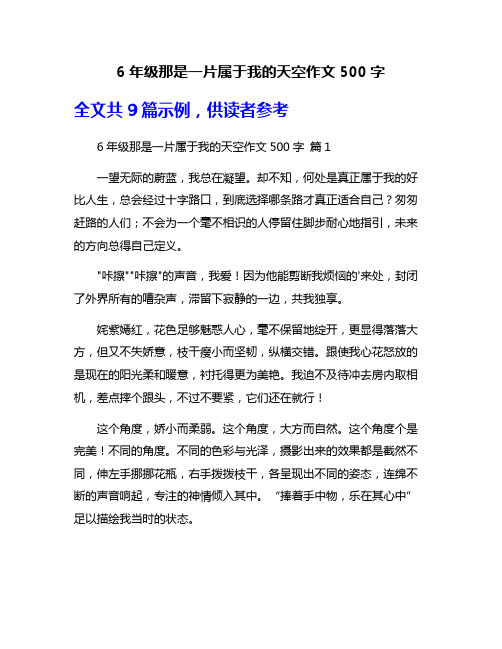 6年级那是一片属于我的天空作文500字