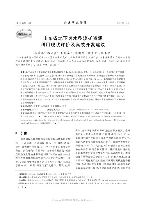 山东省地下卤水型溴矿资源利用现状评价及高效开发建议