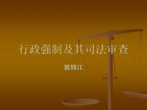 行政强制及其司法审查