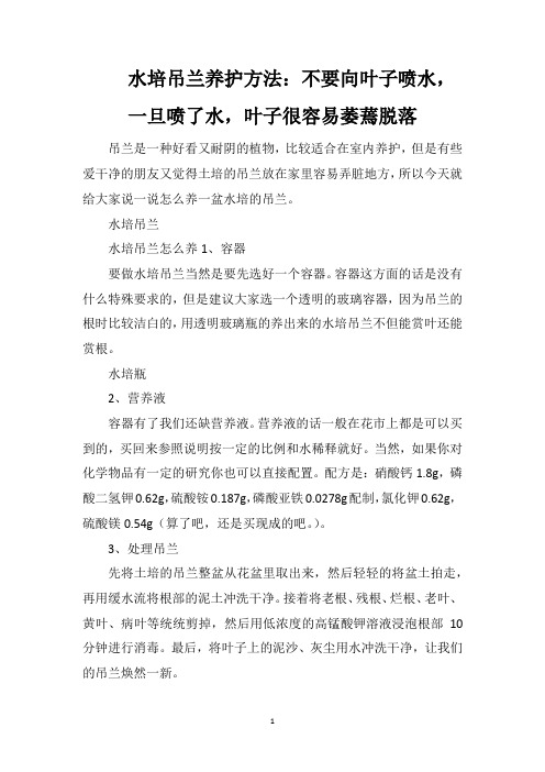 水培吊兰养护方法：不要向叶子喷水,一旦喷了水,叶子很容易萎蔫脱落