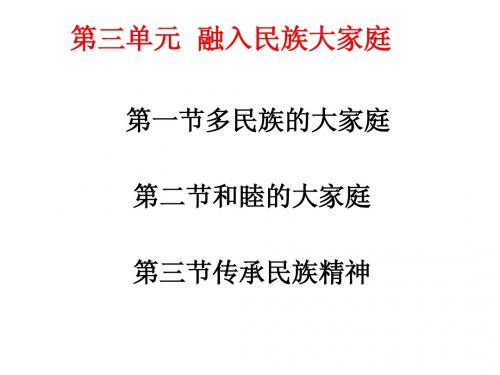 八年级政治下册 第三单元《融入民族大家庭》复习课件 湘教版