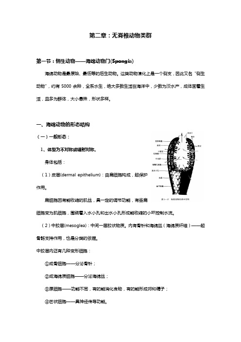 202海绵动物门