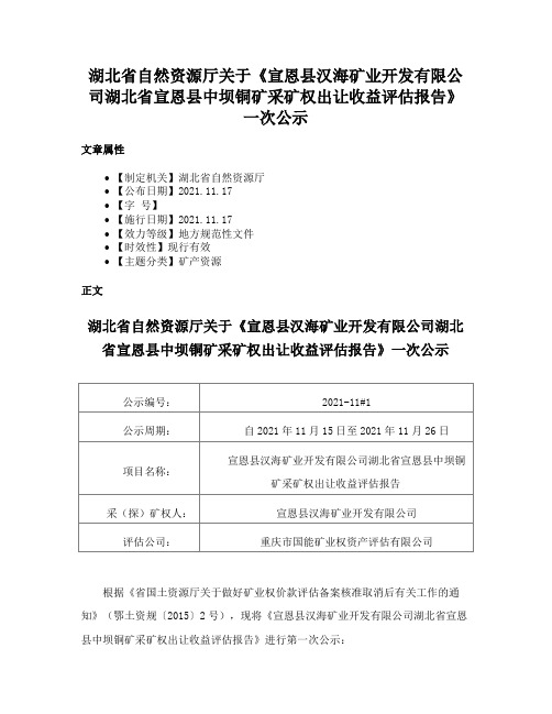 湖北省自然资源厅关于《宣恩县汉海矿业开发有限公司湖北省宣恩县中坝铜矿采矿权出让收益评估报告》一次公示