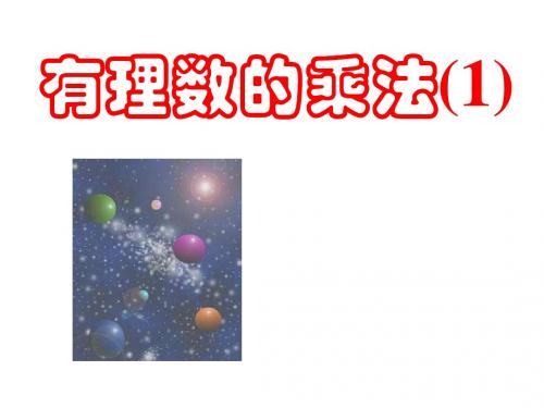 有理数的乘法(1)(新编201908)