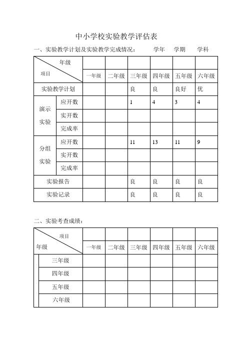 中小学校实验教学评估表