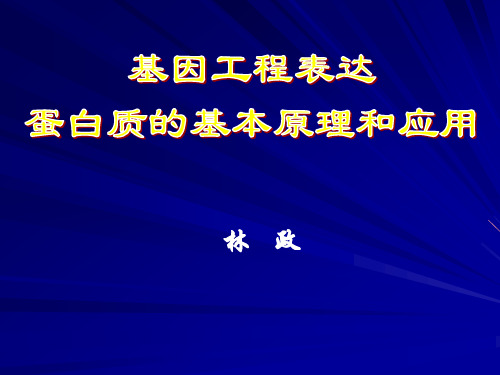 蛋白质表达