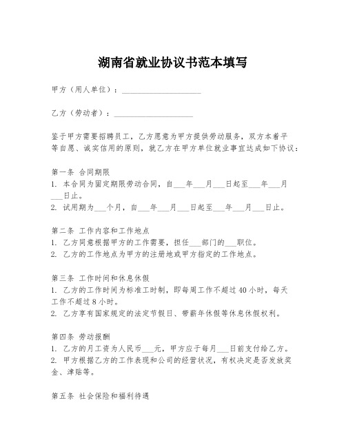 湖南省就业协议书范本填写