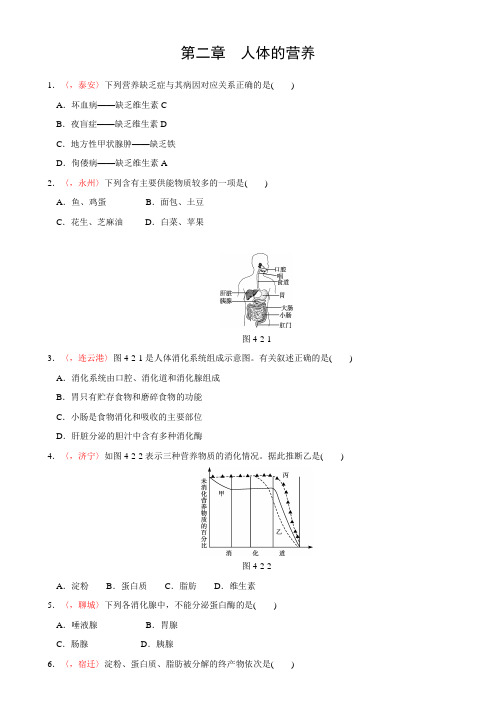 全国各地中考 生物真题精选 第二章 人体的营养(含答案解析)